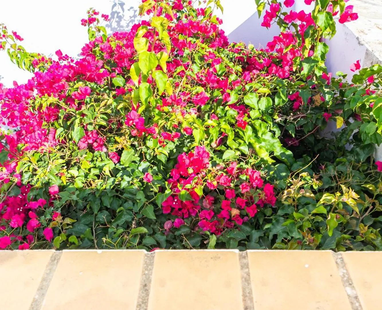 Casa Marinero | +Patio Andaluz Lejlighed Barbate 0*,